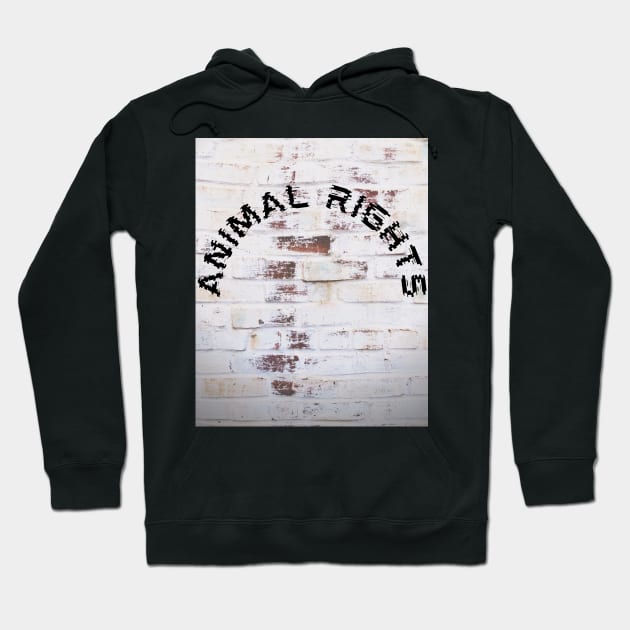 Animal Rights Hoodie by aveganmars